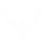 Official Stag Watches Website  Time Through Generations